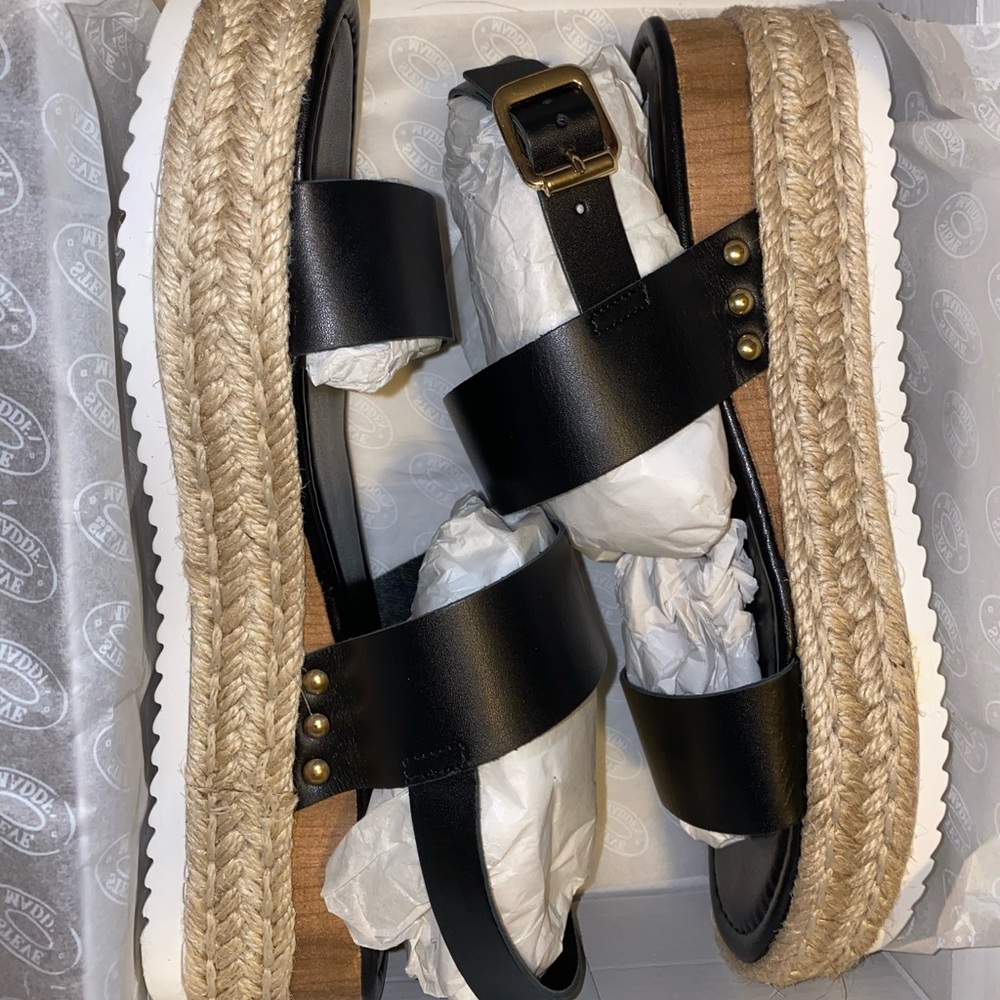 Steve madden